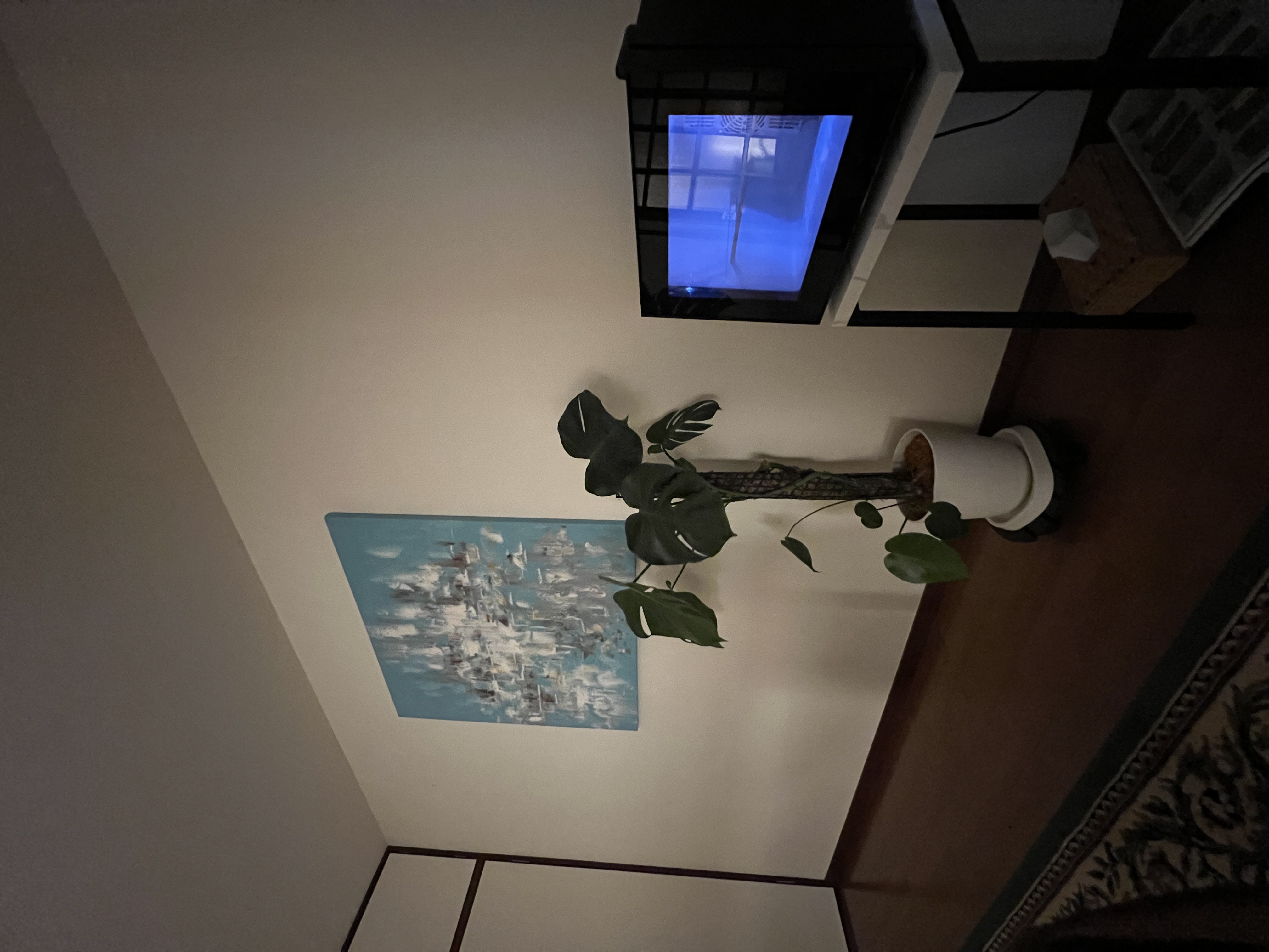 店内の様子の写真